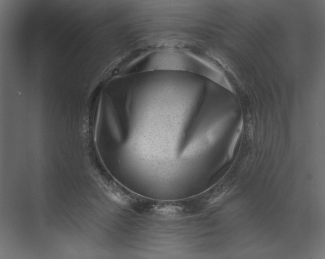 X0000073890407200608251436