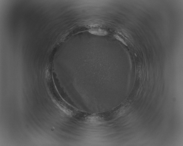 X0000073890408200608251436