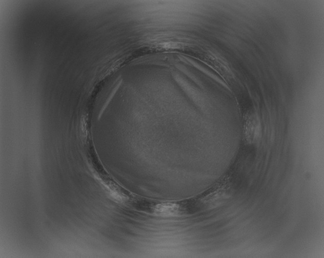 X0000073890410200608251436