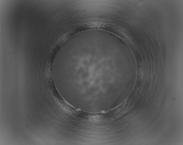 X0000073890411200608251436