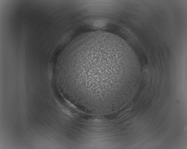 X0000073890412200608251436