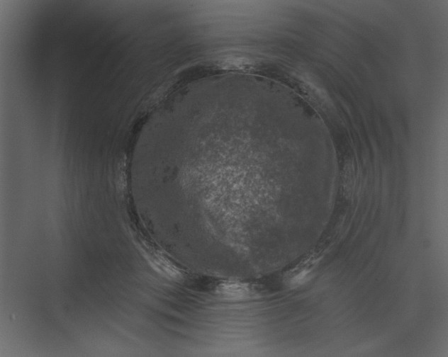 X0000073890413200608251436