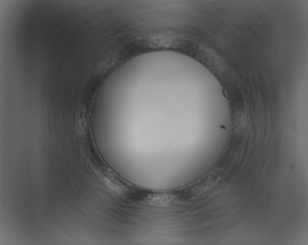 X0000073890414200608251436