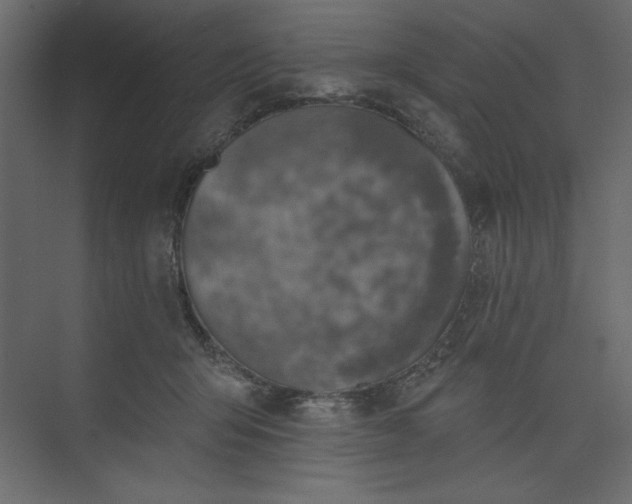 X0000073890415200608251436