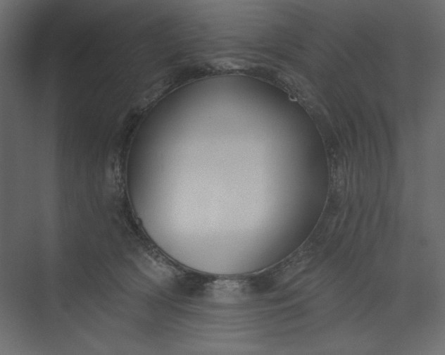 X0000073890418200608251436