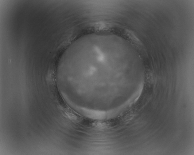 X0000073890419200608251436