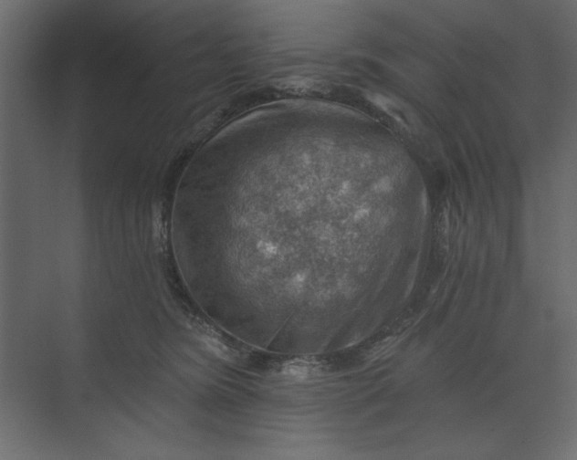 X0000073890420200608251436