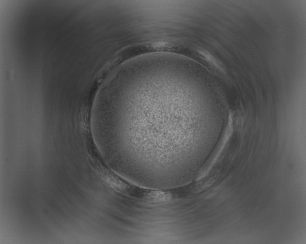 X0000073890421200608251436