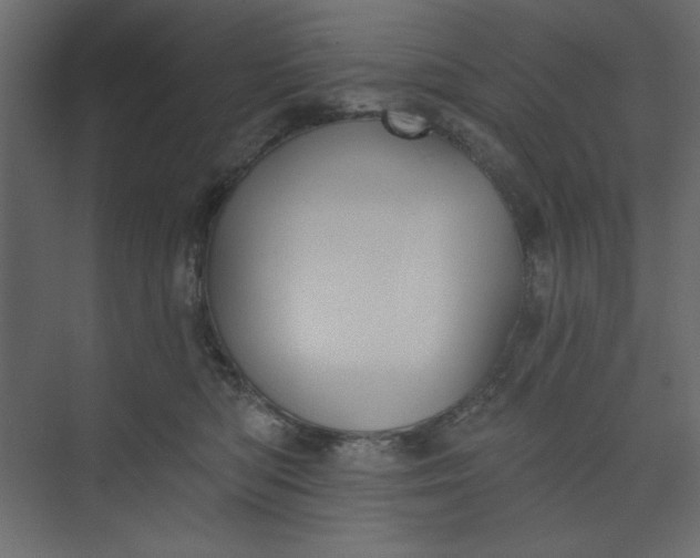 X0000073890422200608251436