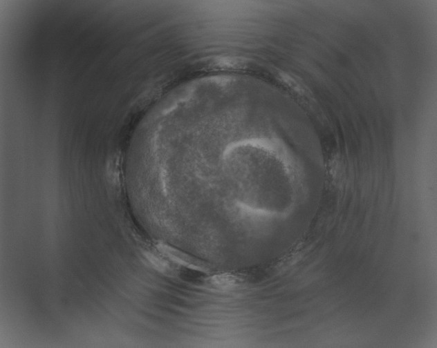 X0000073890423200608251436