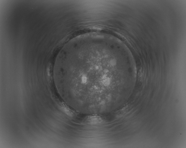 X0000073890424200608251436