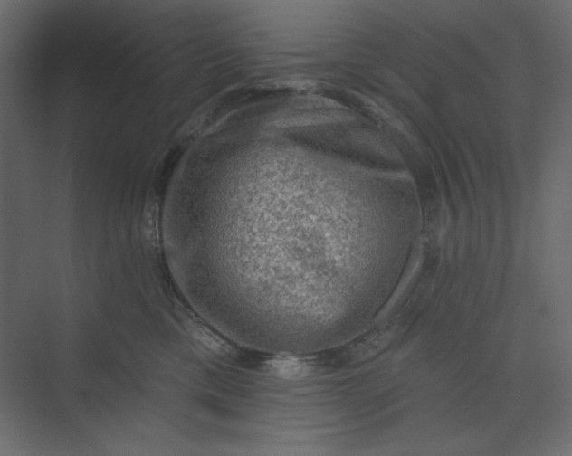 X0000073890425200608251436