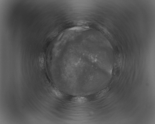 X0000073890427200608251436