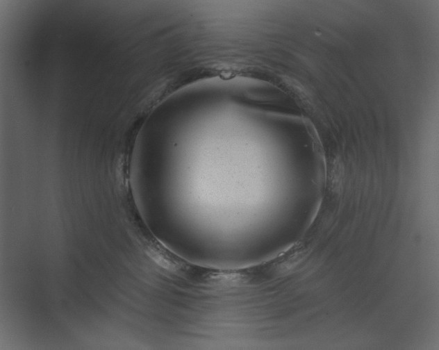 X0000073890428200608251436