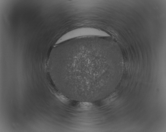 X0000073890429200608251436