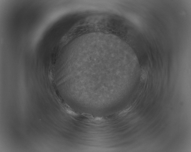 X0000073890431200608251436