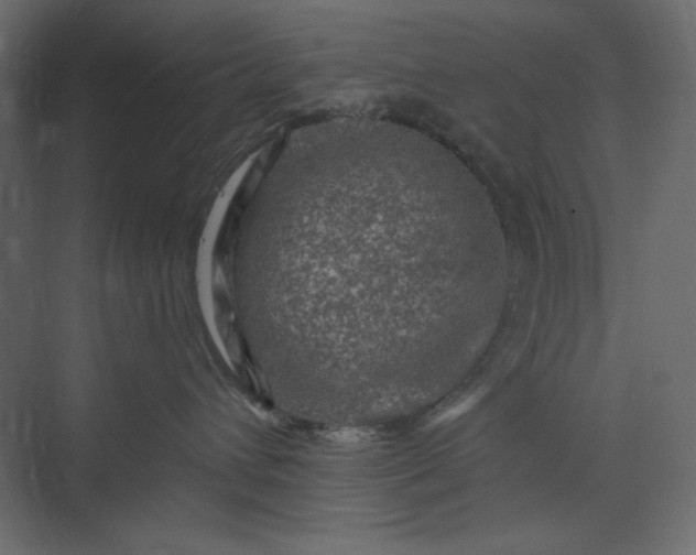 X0000073890432200608251436