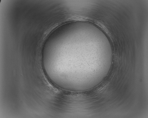 X0000073890433200608251435