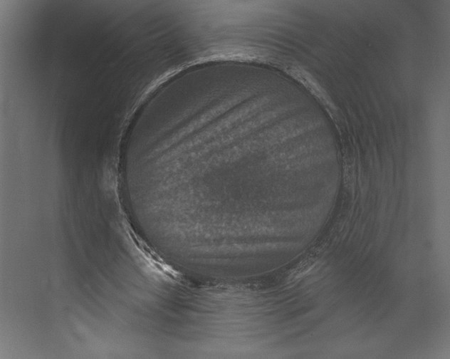 X0000073890434200608251435