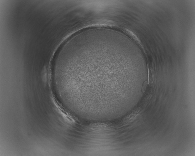 X0000073890435200608251435