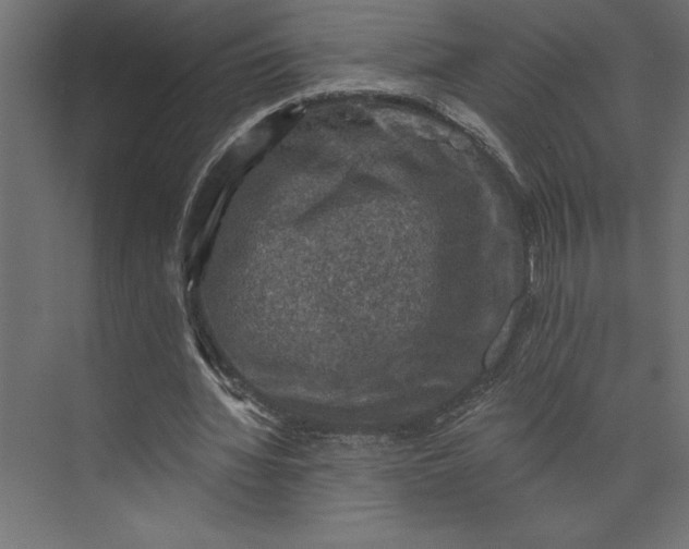 X0000073890436200608251435