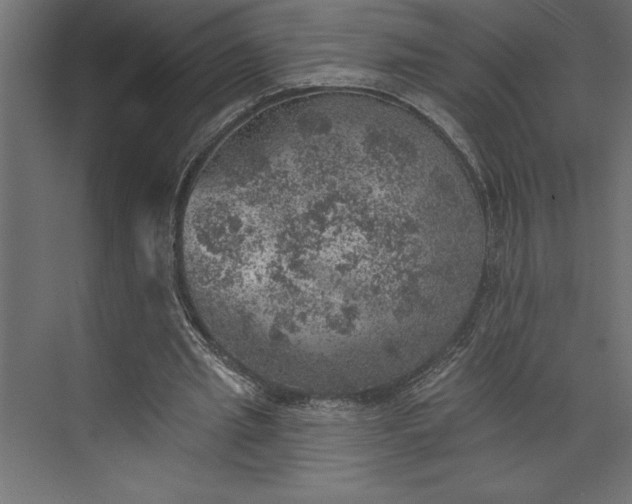 X0000073890437200608251435