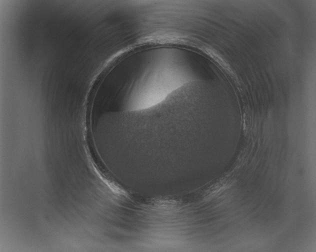 X0000073890438200608251435