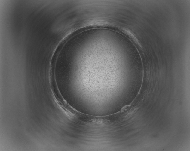 X0000073890439200608251435