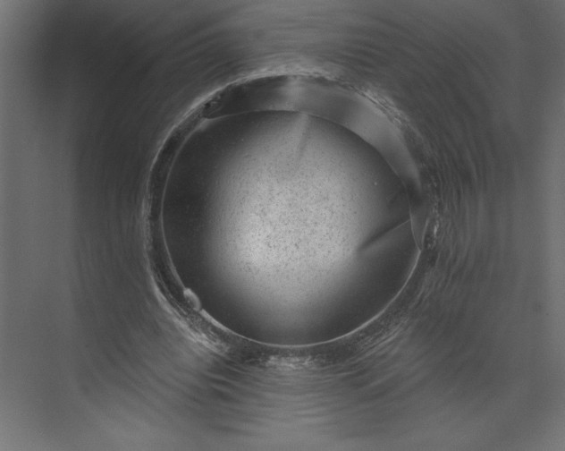 X0000073890440200608251435