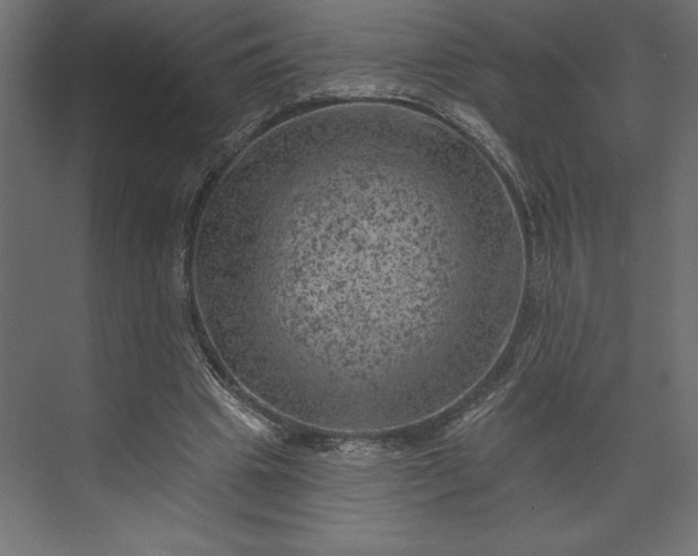 X0000073890441200608251435