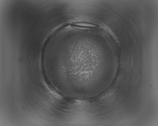 X0000073890442200608251435