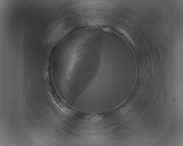 X0000073890443200608251435