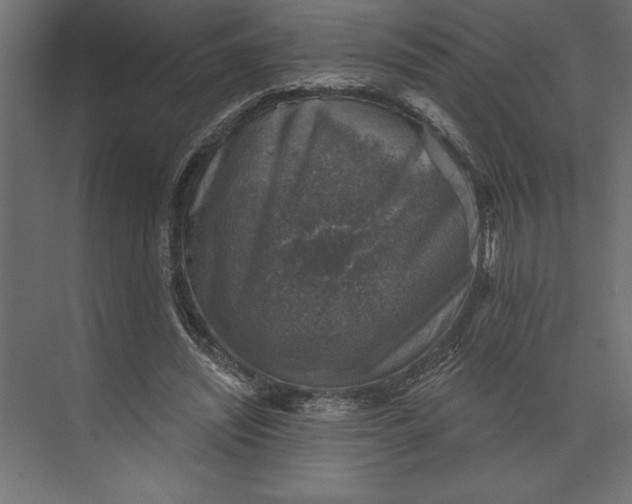 X0000073890444200608251435