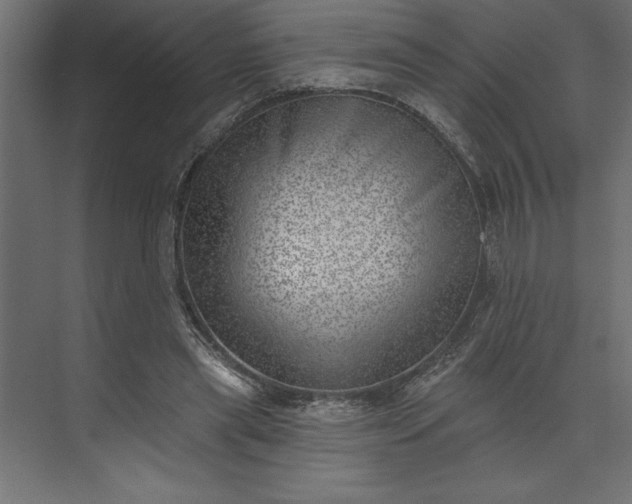 X0000073890445200608251435