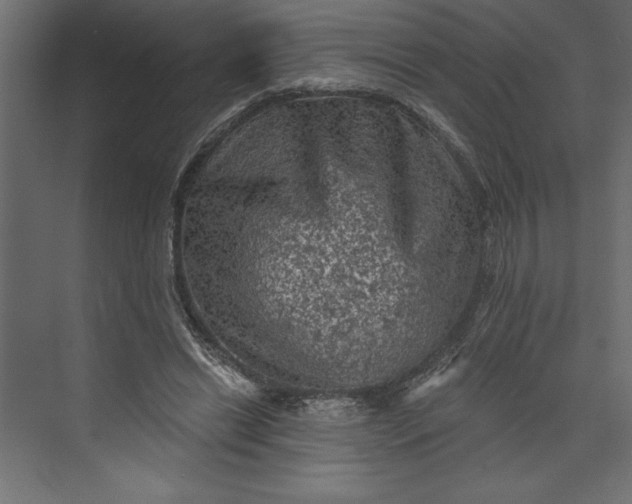 X0000073890446200608251435