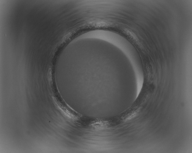 X0000073890447200608251435