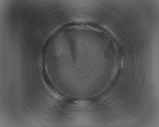 X0000073890448200608251435