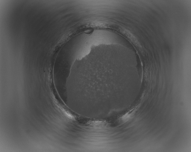 X0000073890449200608251435