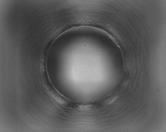 X0000073890450200608251435