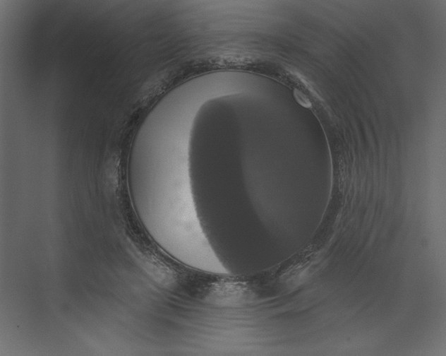 X0000073890451200608251435