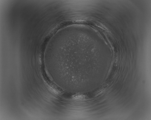 X0000073890452200608251436