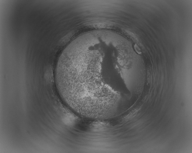 X0000073890453200608251436