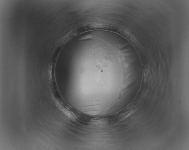 X0000073890454200608251436