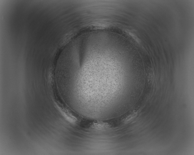 X0000073890455200608251436