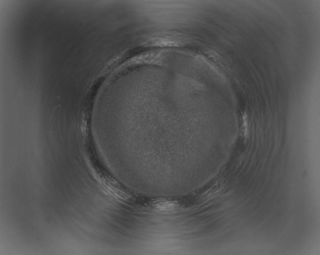 X0000073890456200608251436