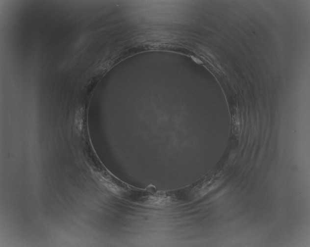 X0000073890458200608251436