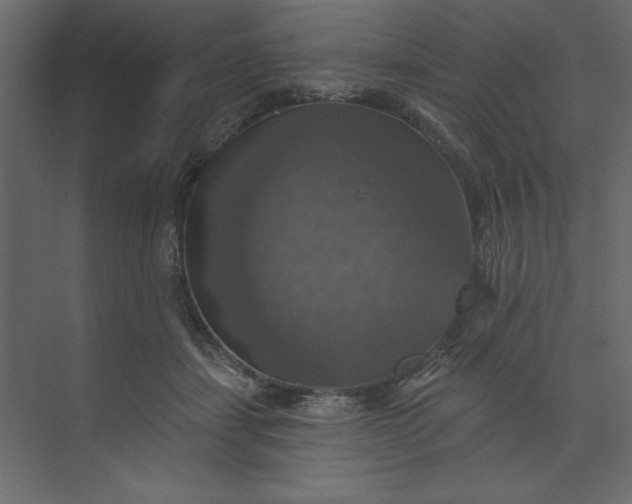 X0000073890459200608251436