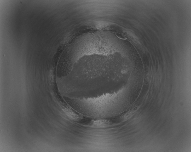 X0000073890461200608251436