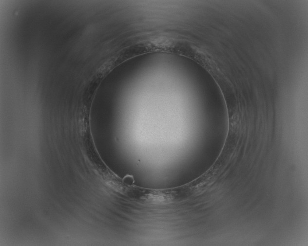 X0000073890464200608251436