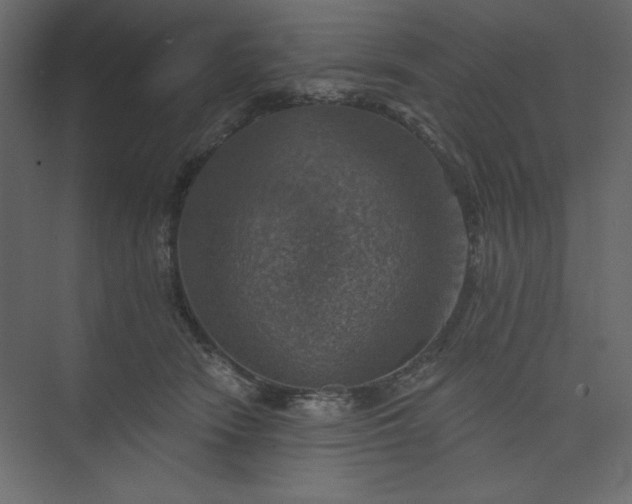 X0000073890466200608251436